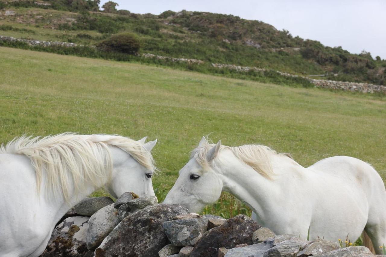Clifden Bay Lodge Kültér fotó